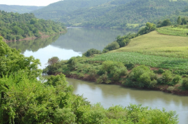 REGULARIZAO DAS REAS DE PRESERVAO PERMANENTE E RESERVA LEGAL